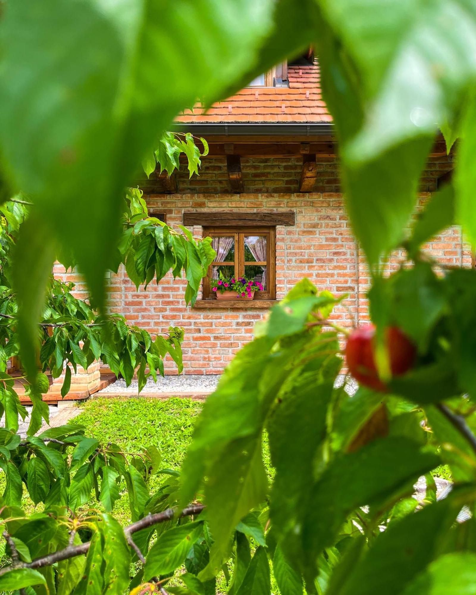 Villa Kuca Za Odmor Zagorka Zabok Exterior foto