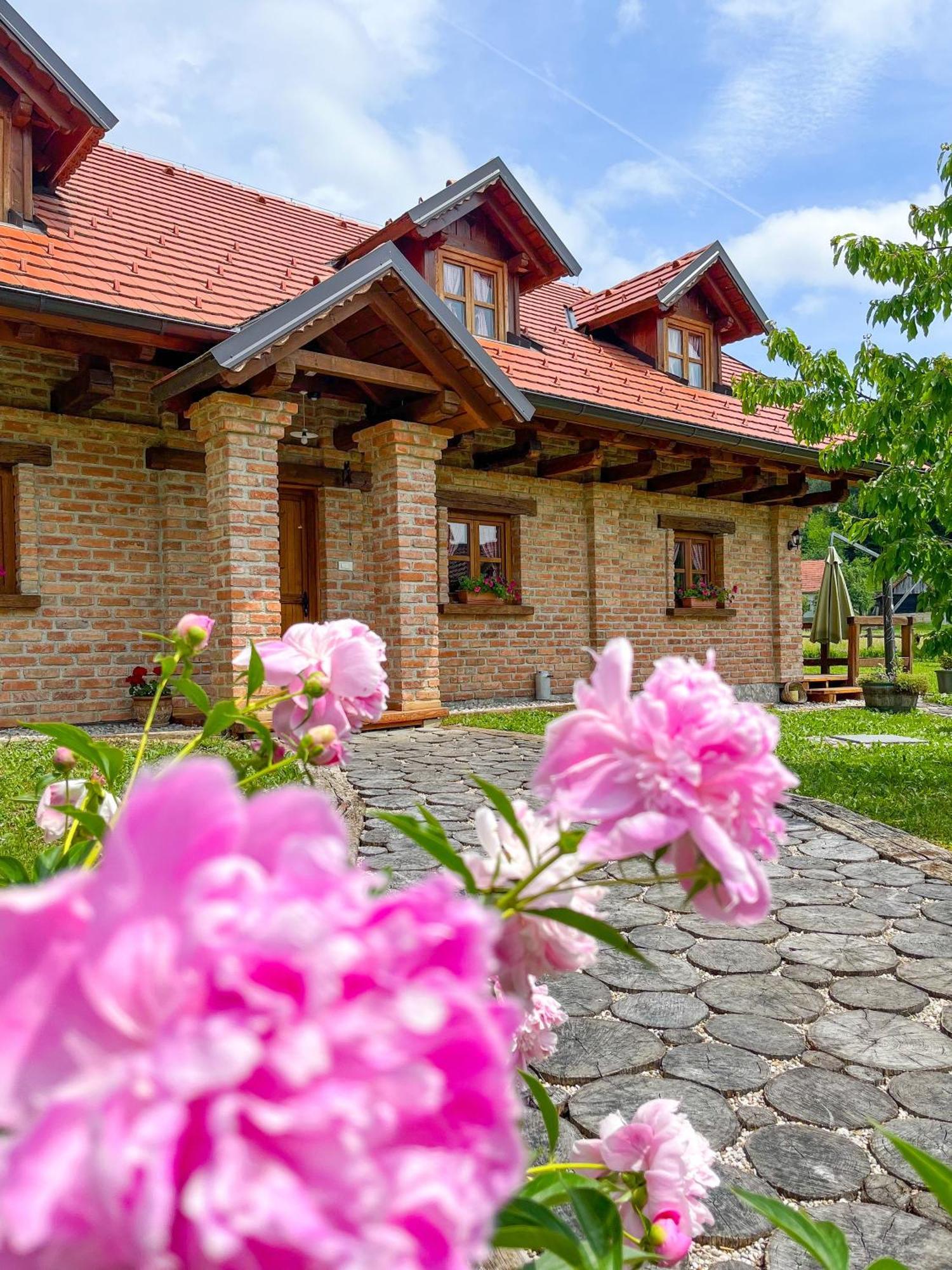 Villa Kuca Za Odmor Zagorka Zabok Exterior foto